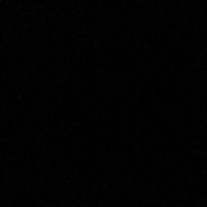 Meet your Posher, Janie